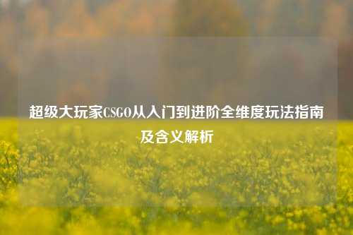 超级大玩家CSGO从入门到进阶全维度玩法指南及含义解析