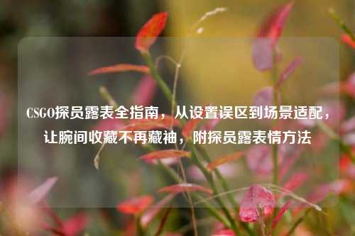 CSGO探员露表全指南，从设置误区到场景适配，让腕间收藏不再藏袖，附探员露表情方法