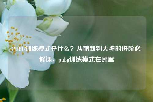 PUBG训练模式是什么?从萌新到大神的进阶必修课,pubg训练模式在哪里