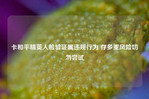 卡和平精英人脸验证属违规行为 存多重风险切勿尝试