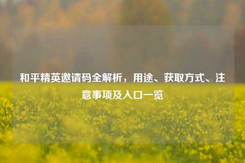 和平精英邀请码全解析,用途、获取方式、注意事项及入口一览