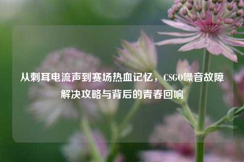 从刺耳电流声到赛场热血记忆,CSGO噪音故障解决攻略与背后的青春回响