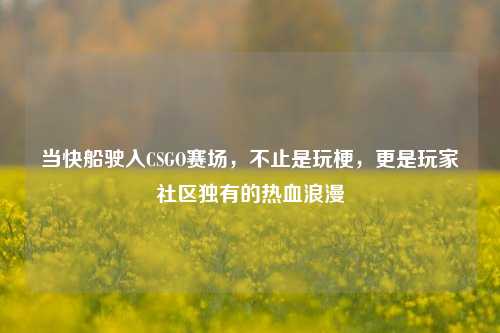 当快船驶入CSGO赛场,不止是玩梗,更是玩家社区独有的热血浪漫