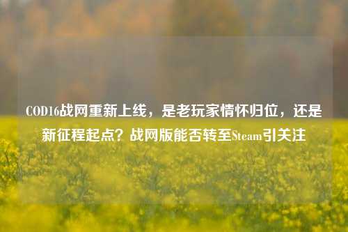 COD16战网重新上线，是老玩家情怀归位，还是新征程起点？战网版能否转至Steam引关注