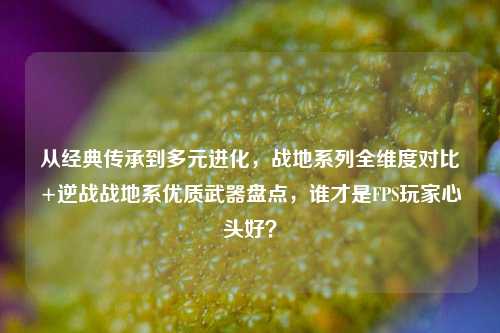 从经典传承到多元进化，战地系列全维度对比+逆战战地系优质武器盘点，谁才是FPS玩家心头好？