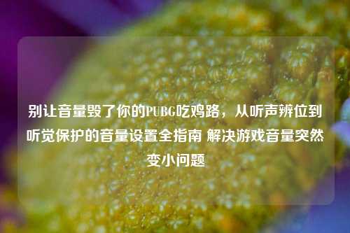 别让音量毁了你的PUBG吃鸡路,从听声辨位到听觉保护的音量设置全指南 解决游戏音量突然变小问题