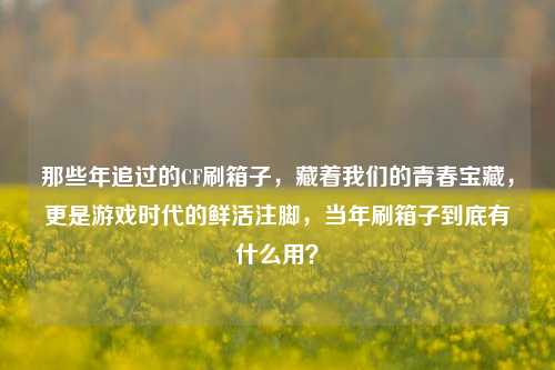 那些年追过的CF刷箱子,藏着我们的青春宝藏,更是游戏时代的鲜活注脚,当年刷箱子到底有什么用?