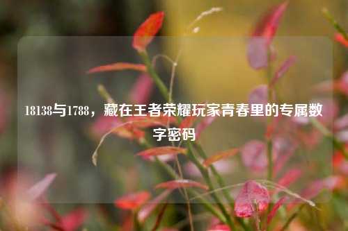 18138与1788,藏在王者荣耀玩家青春里的专属数字密码