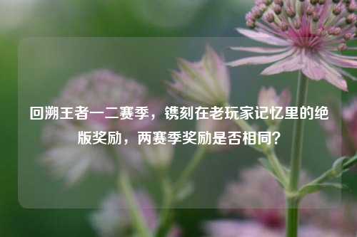 回溯王者一二赛季，镌刻在老玩家记忆里的绝版奖励，两赛季奖励是否相同？