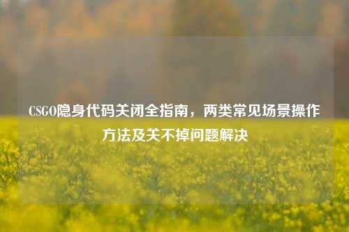 CSGO隐身代码关闭全指南,两类常见场景操作方法及关不掉问题解决