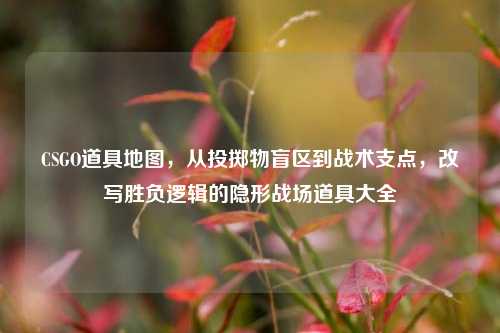 CSGO道具地图,从投掷物盲区到战术支点,改写胜负逻辑的隐形战场道具大全