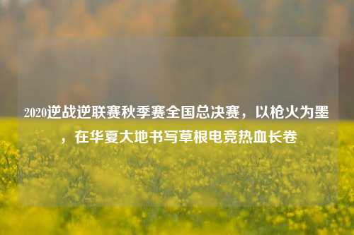 2020逆战逆联赛秋季赛全国总决赛,以枪火为墨,在华夏大地书写草根电竞热血长卷