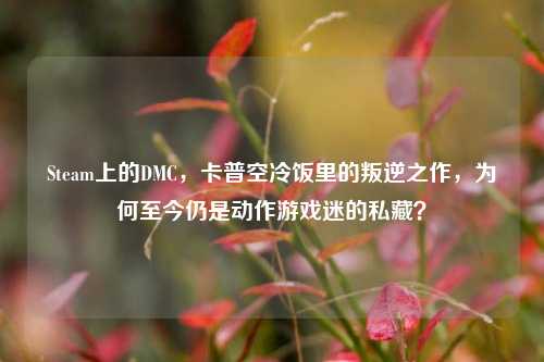 Steam上的DMC，卡普空冷饭里的叛逆之作，为何至今仍是动作游戏迷的私藏？