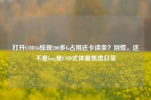 打开COD16惊现200多G占用还卡读条？别慌，这不是bug是COD式体量焦虑日常