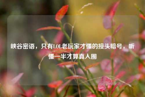 峡谷密语,只有LOL老玩家才懂的接头暗号,听懂一半才算真入圈