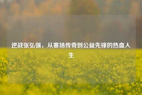 逆战张弘强,从赛场传奇到公益先锋的热血人生