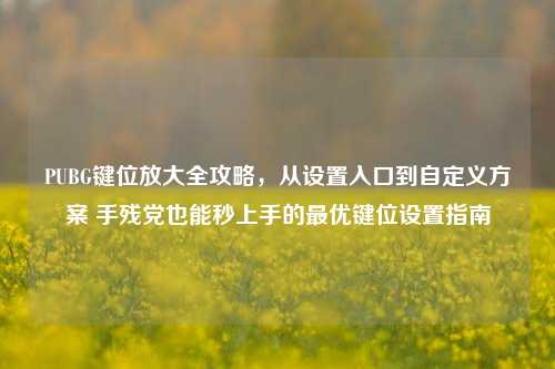 PUBG键位放大全攻略，从设置入口到自定义方案 手残党也能秒上手的最优键位设置指南