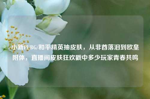小新PUBG/和平精英抽皮肤,从非酋落泪到欧皇附体,直播间皮肤狂欢戳中多少玩家青春共鸣