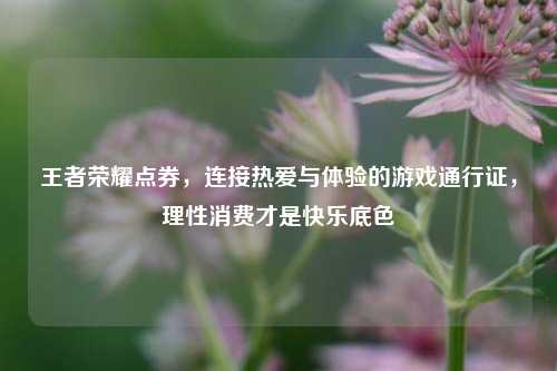 王者荣耀点券,连接热爱与体验的游戏通行证,理性消费才是快乐底色