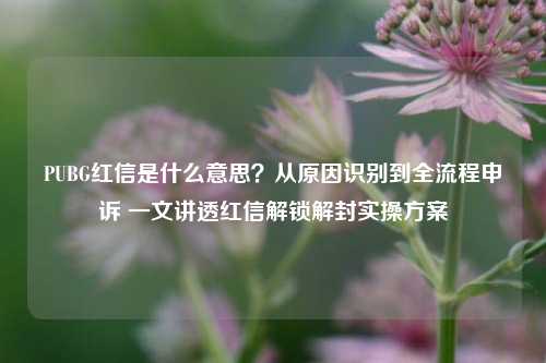 PUBG红信是什么意思？从原因识别到全流程申诉 一文讲透红信解锁解封实操方案