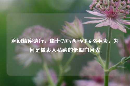 腕间精密诗行，瑞士CYMA西马CF-6-SS手表，为何是懂表人私藏的低调白月光