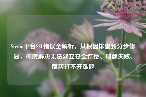 Steam平台SSL错误全解析，从根因排查到分步修复，彻底解决无法建立安全连接、加载失败、商店打不开难题