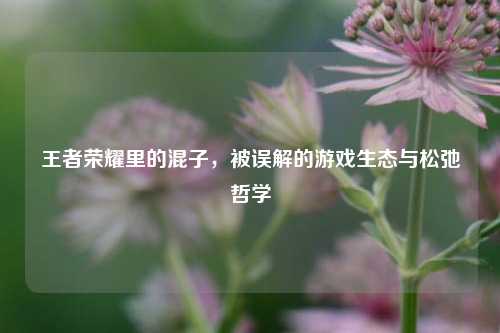 王者荣耀里的混子，被误解的游戏生态与松弛哲学