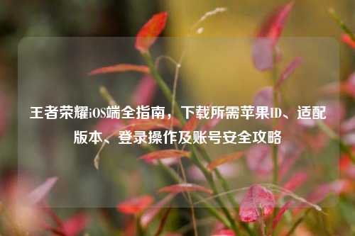 王者荣耀iOS端全指南，下载所需苹果ID、适配版本、登录操作及账号安全攻略