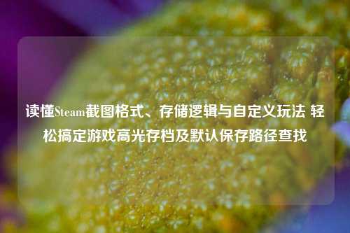 读懂Steam截图格式、存储逻辑与自定义玩法 轻松搞定游戏高光存档及默认保存路径查找