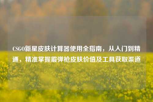 CSGO新星皮肤计算器使用全指南,从入门到精通,精准掌握霰弹枪皮肤价值及工具获取渠道