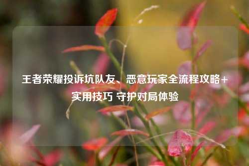 王者荣耀投诉坑队友、恶意玩家全流程攻略+实用技巧 守护对局体验