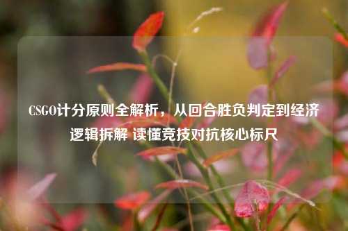 CSGO计分原则全解析,从回合胜负判定到经济逻辑拆解 读懂竞技对抗核心标尺