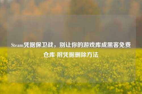 Steam凭据保卫战，别让你的游戏库成黑客免费仓库 附凭据删除方法