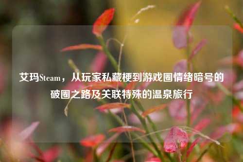 艾玛Steam，从玩家私藏梗到游戏圈情绪暗号的破圈之路及关联特殊的温泉旅行