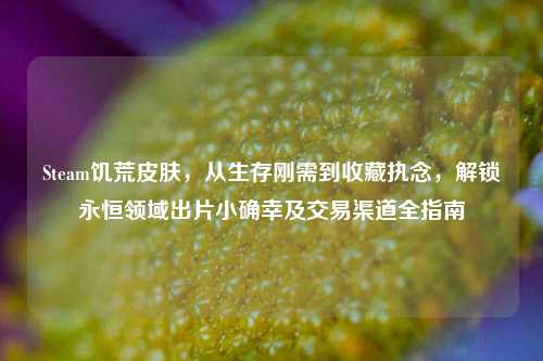 Steam饥荒皮肤,从生存刚需到收藏执念,解锁永恒领域出片小确幸及交易渠道全指南