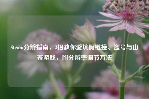 Steam分辨指南,3招教你避坑假链接、盗号与山寨游戏,附分辨率调节方法