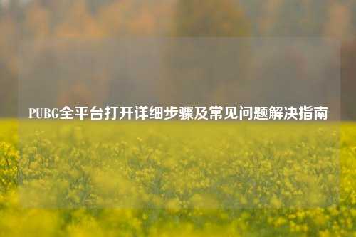 PUBG全平台打开详细步骤及常见问题解决指南