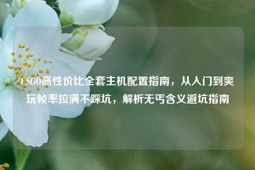 CSGO高性价比全套主机配置指南，从入门到爽玩帧率拉满不踩坑，解析无丐含义避坑指南
