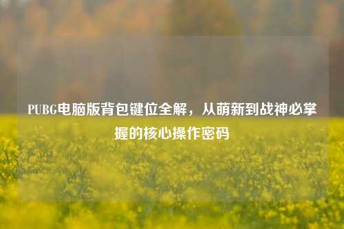 PUBG电脑版背包键位全解，从萌新到战神必掌握的核心操作密码