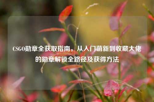 CSGO勋章全获取指南，从入门萌新到收藏大佬的勋章解锁全路径及获得方法