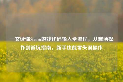 一文读懂Steam游戏代码输入全流程,从激活操作到避坑指南,新手也能零失误操作