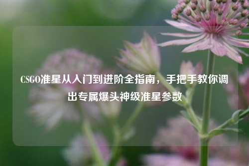 CSGO准星从入门到进阶全指南,手把手教你调出专属爆头神级准星参数