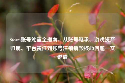 Steam账号处置全指南，从账号继承、游戏资产归属、平台责任到账号注销销毁核心问题一文说清