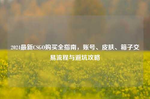 2024最新CSGO购买全指南,账号、皮肤、箱子交易流程与避坑攻略