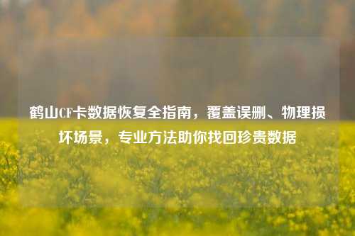 鹤山CF卡数据恢复全指南,覆盖误删、物理损坏场景,专业方法助你找回珍贵数据
