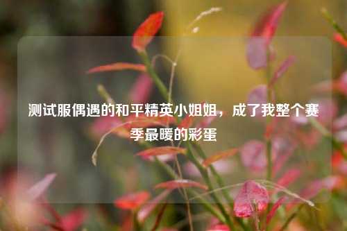 测试服偶遇的和平精英小姐姐,成了我整个赛季最暖的彩蛋