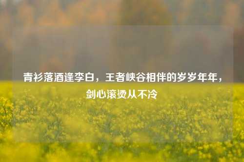 青衫落酒逢李白,王者峡谷相伴的岁岁年年,剑心滚烫从不冷
