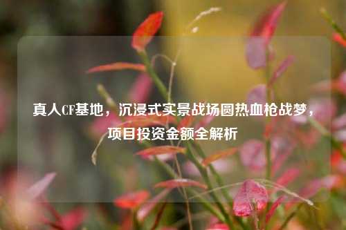 真人CF基地,沉浸式实景战场圆热血枪战梦,项目投资金额全解析