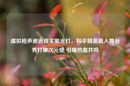 虚拟枪声邂逅现实聚光灯,和平精英真人舞台秀打破次元壁 引爆热血共鸣