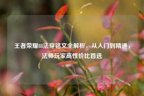 王者荣耀88法穿铭文全解析,从入门到精通,法师玩家高性价比首选